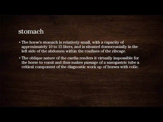 stomach The horse’s stomach is relatively small, with a capacity of approximately 10