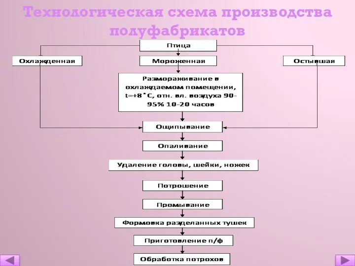 Технологическая схема производства полуфабрикатов