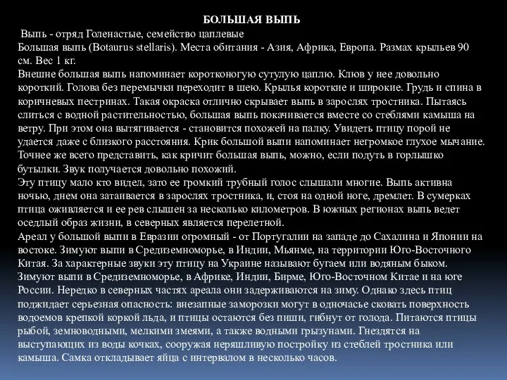 БОЛЬШАЯ ВЫПЬ Выпь - отряд Голенастые, семейство цаплевые Большая выпь