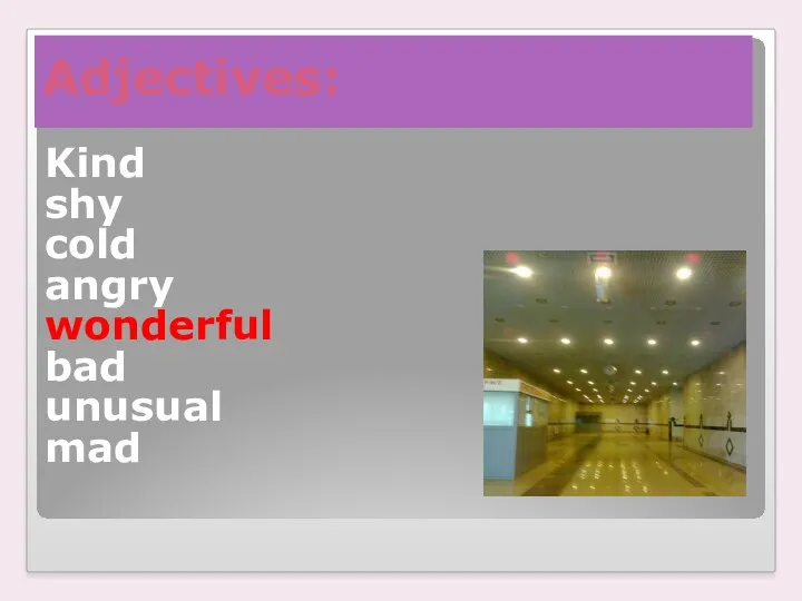 Adjectives: Kind shy cold angry wonderful bad unusual mad