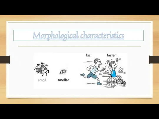 Morphological characteristics