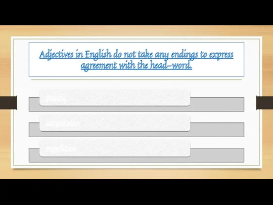 Adjectives in English do not take any endings to express agreement with the head-word.