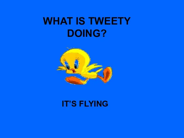 WHAT IS TWEETY DOING? IT’S FLYING