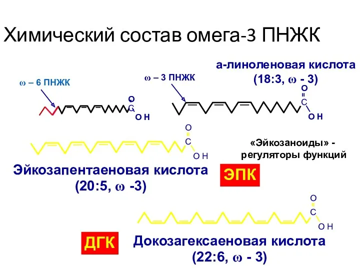 a-линоленовая кислота (18:3, ω - 3) ω – 3 ПНЖК