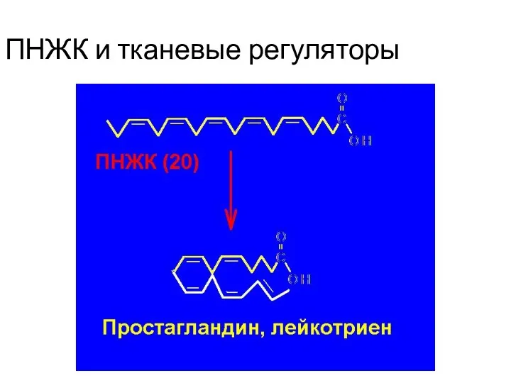 ПНЖК и тканевые регуляторы