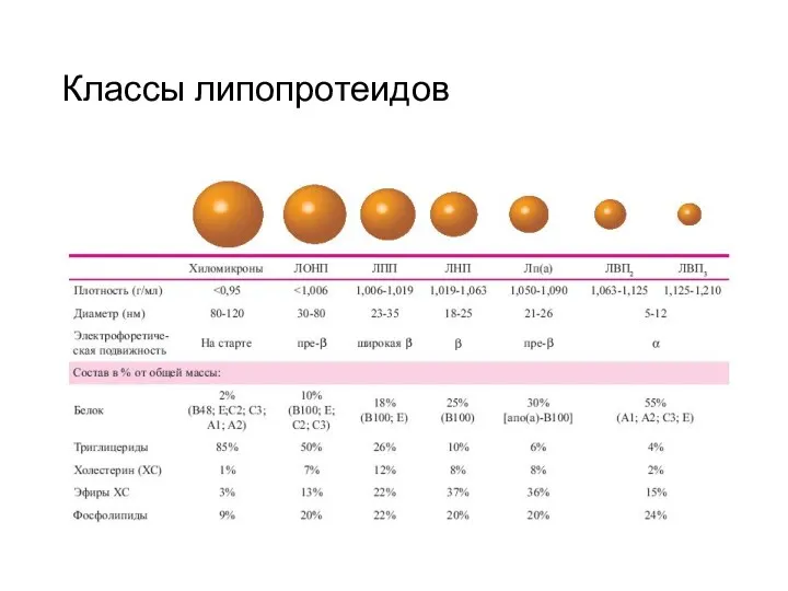 Классы липопротеидов