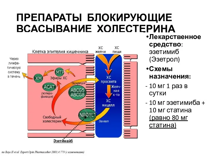 ПРЕПАРАТЫ БЛОКИРУЮЩИЕ ВСАСЫВАНИЕ ХОЛЕСТЕРИНА Лекарственное средство: эзетимиб (Эзетрол) Схемы назначения: