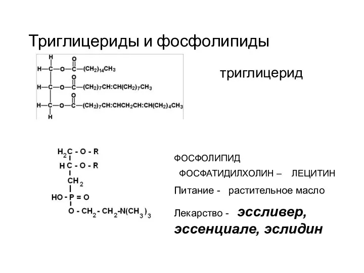 Триглицериды и фосфолипиды триглицерид ФОСФОЛИПИД ФОСФАТИДИЛХОЛИН – ЛЕЦИТИН Питание -