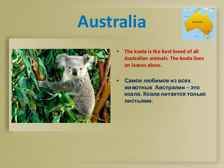 Australia The koala is the best loved of all Australian