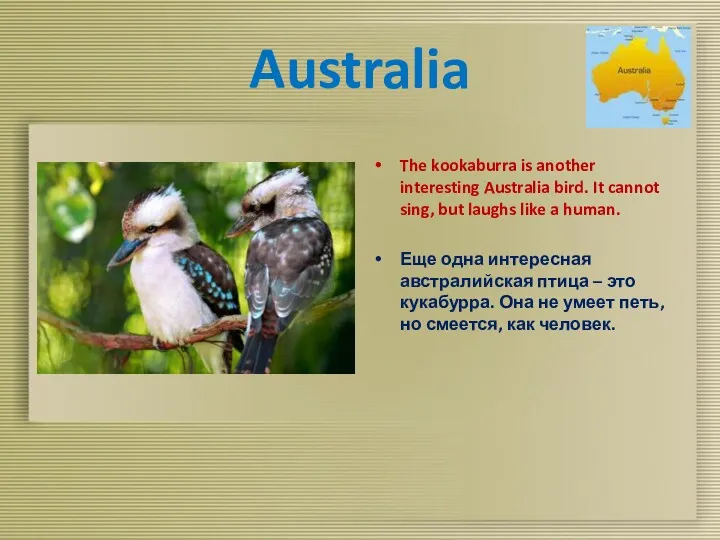 Australia The kookaburra is another interesting Australia bird. It cannot