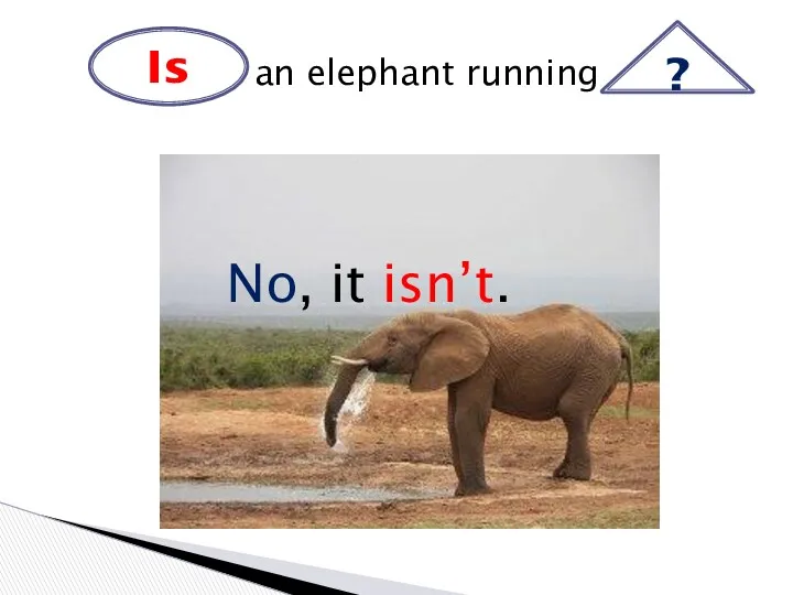 Is an elephant running ? No, it isn’t.