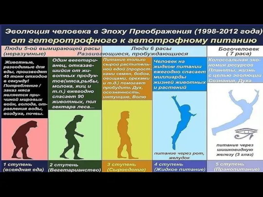 Раздельное питание