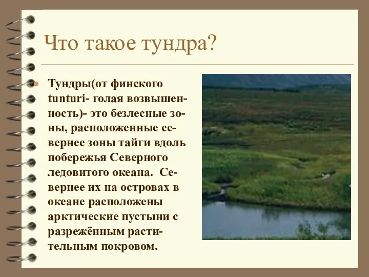 Что такое тундра? Тундры(от финского tunturi- голая возвышен-ность)- это безлесные