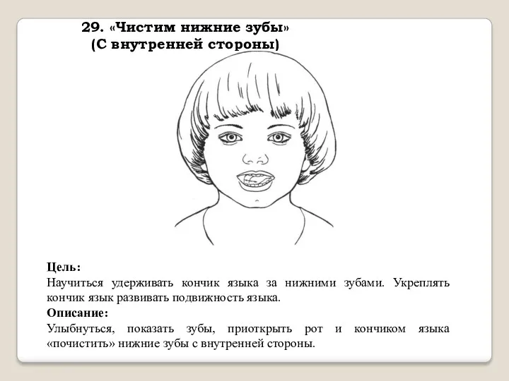 29. «Чистим нижние зубы» (С внутренней стороны) Цель: Научиться удерживать