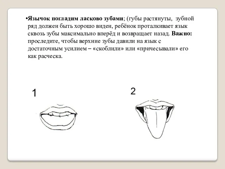 Язычок погладим ласково зубами; (губы растянуты, зубной ряд должен быть