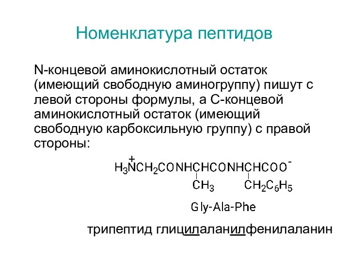 Номенклатура пептидов N-концевой аминокислотный остаток (имеющий свободную аминогруппу) пишут с