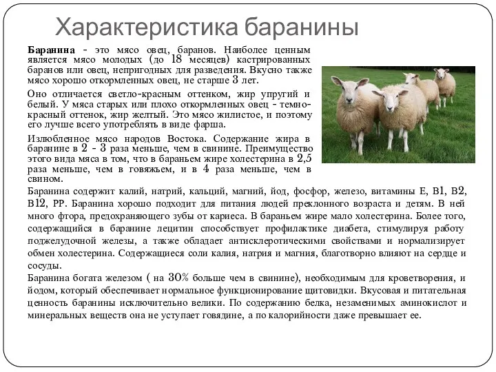 Характеристика баранины Баранина - это мясо овец, баранов. Наиболее ценным является мясо молодых