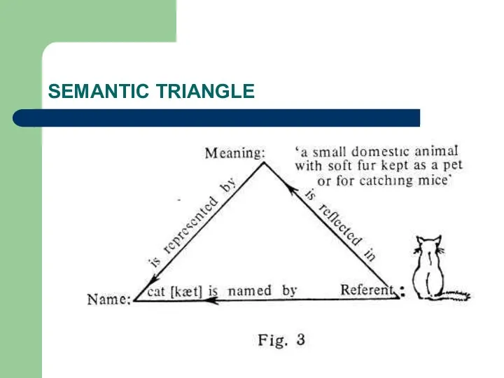 SEMANTIC TRIANGLE