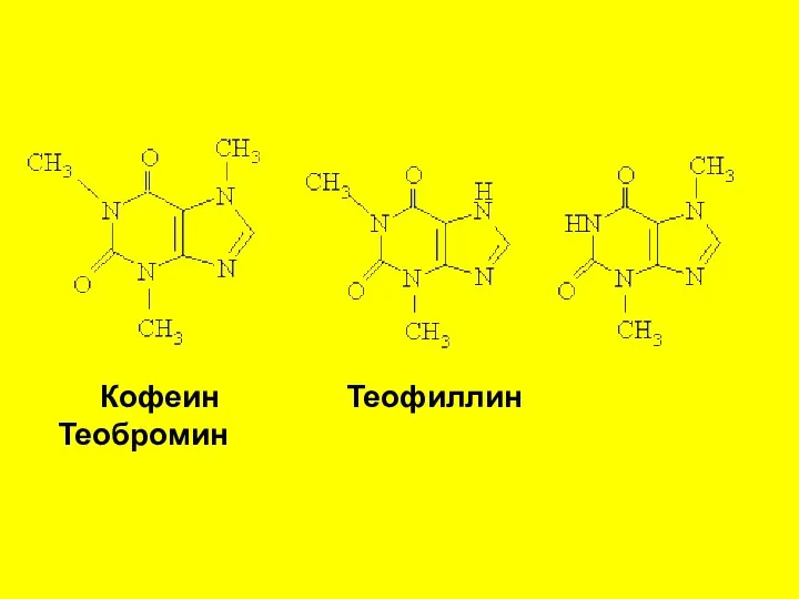 Кофеин Теофиллин Теобромин