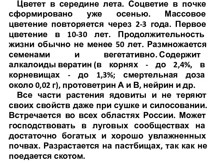 Цветет в середине лета. Соцветие в почке сформировано уже осенью.