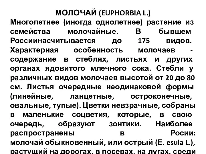 МОЛОЧАЙ (EUPHORBIA L.) Многолетнее (иногда однолетнее) растение из семейства молочайные.