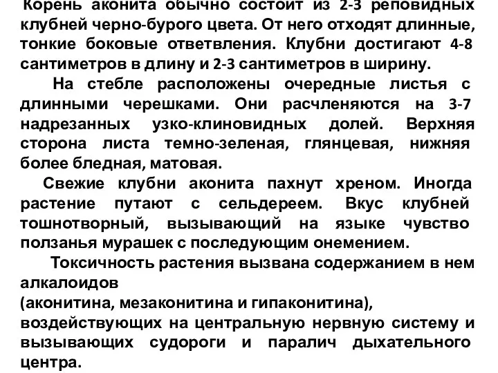 Корень аконита обычно состоит из 2-3 реповидных клубней черно-бурого цвета.