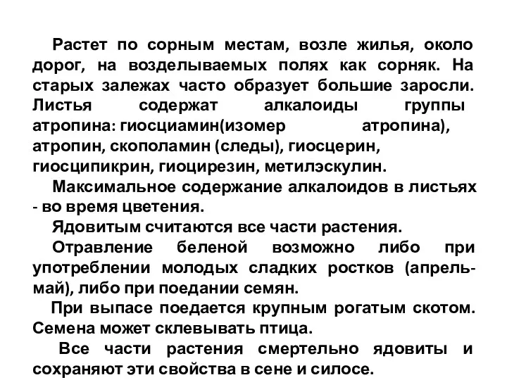 Растет по сорным местам, возле жилья, около дорог, на возделываемых