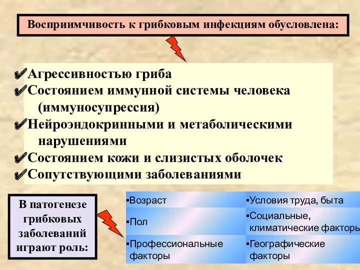 Восприимчивость к грибковым инфекциям обусловлена: Агрессивностью гриба Состоянием иммунной системы человека (иммуносупрессия) Нейроэндокринными