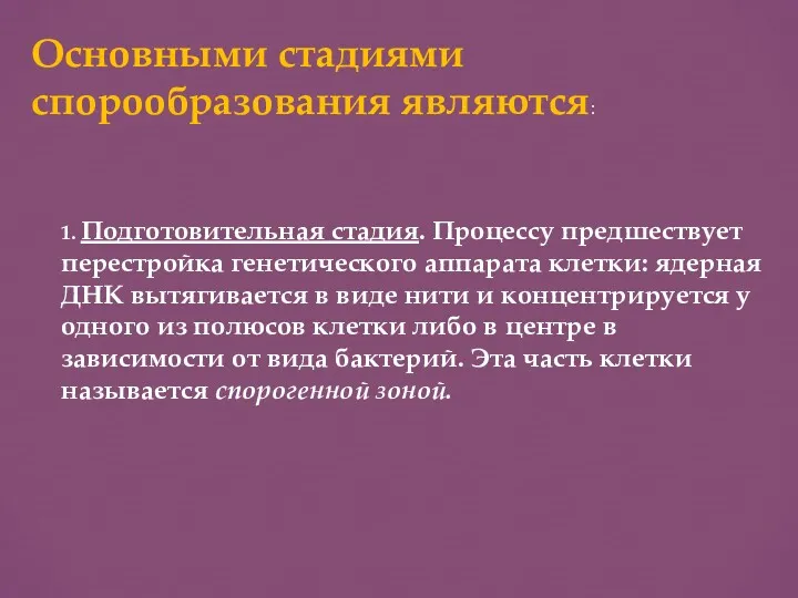 Основными стадиями спорообразования являются: 1. Подготовительная стадия. Процессу предшествует перестройка