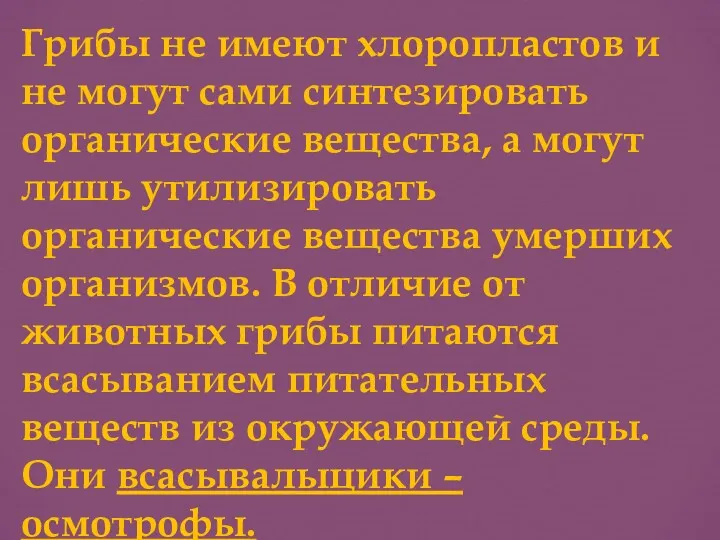 Грибы не имеют хлоропластов и не могут сами синтезировать органические