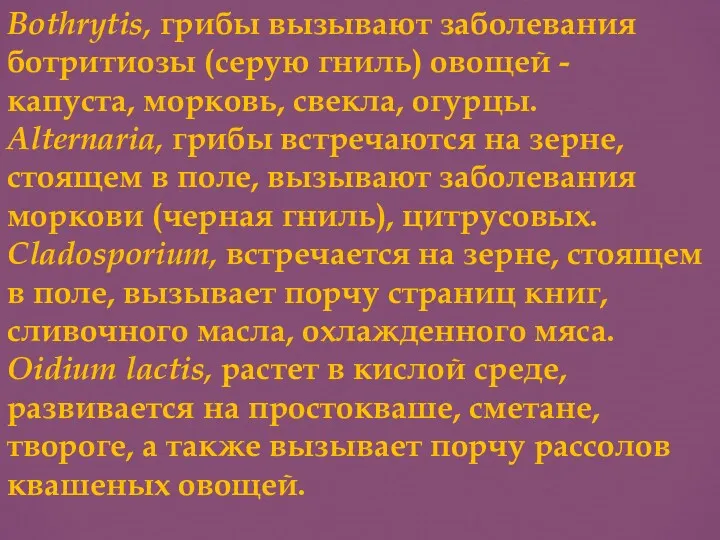 Bothrytis, грибы вызывают заболевания ботритиозы (серую гниль) овощей - капуста,