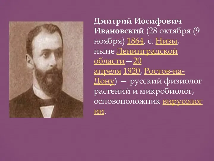 Дмитрий Иосифович Ивановский (28 октября (9 ноября) 1864, с. Низы,