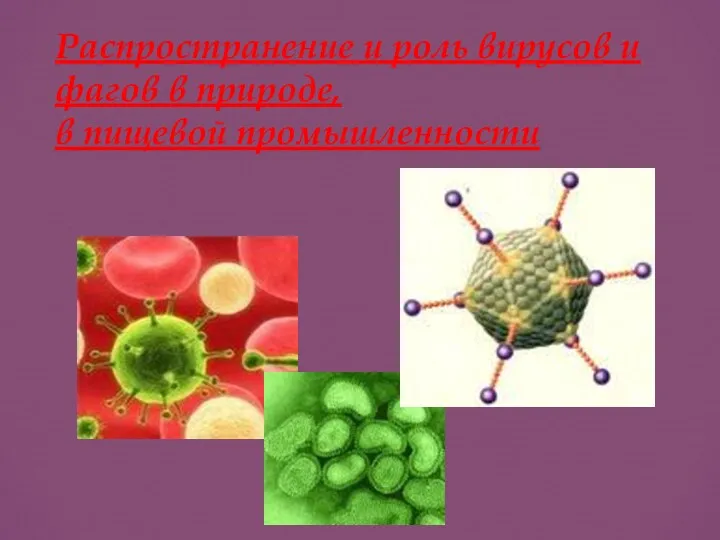 Распространение и роль вирусов и фагов в природе, в пищевой промышленности