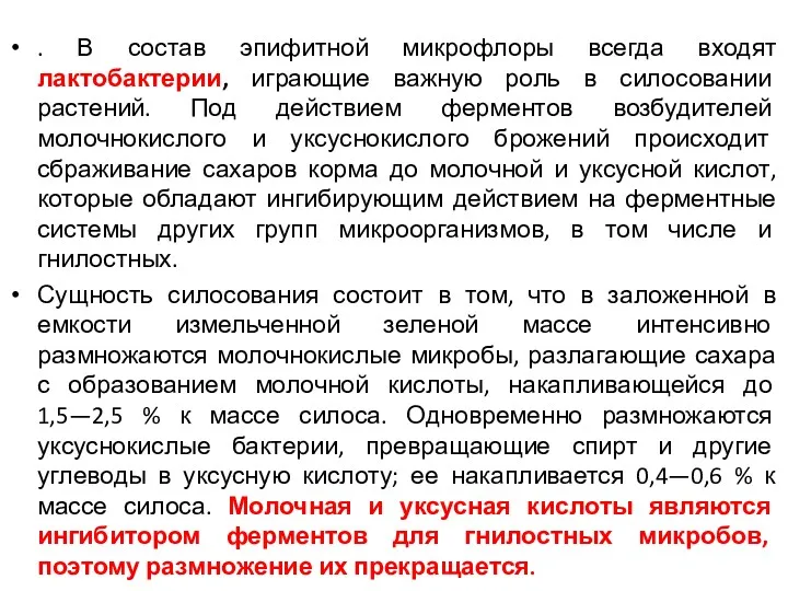 . В состав эпифитной микрофлоры всегда входят лактобактерии, играющие важную