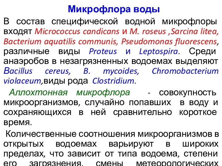 Микрофлора воды В состав специфической водной микрофлоры входят Micrococcus candicans