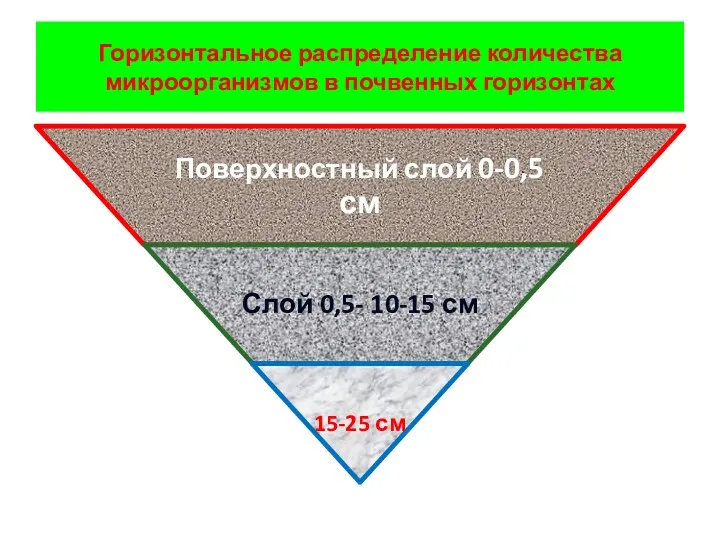 Горизонтальное распределение количества микроорганизмов в почвенных горизонтах