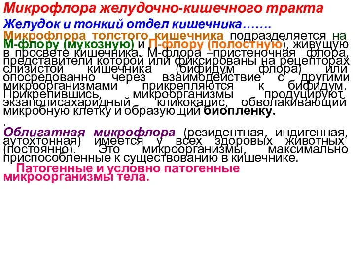 Микрофлора желудочно-кишечного тракта Желудок и тонкий отдел кишечника……. Микрофлора толстого