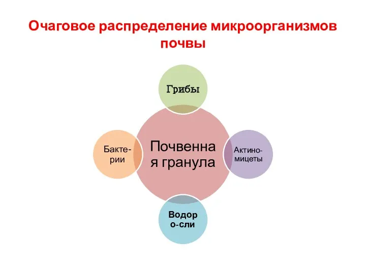 Очаговое распределение микроорганизмов почвы