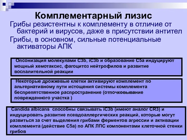 Комплементарный лизис Грибы резистентны к комплементу в отличие от бактерий