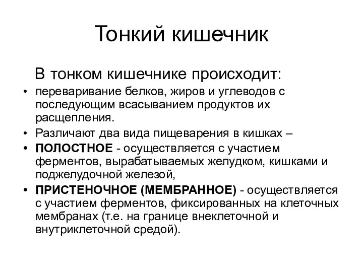 Тонкий кишечник В тонком кишечнике происходит: переваривание белков, жиров и углеводов с последующим