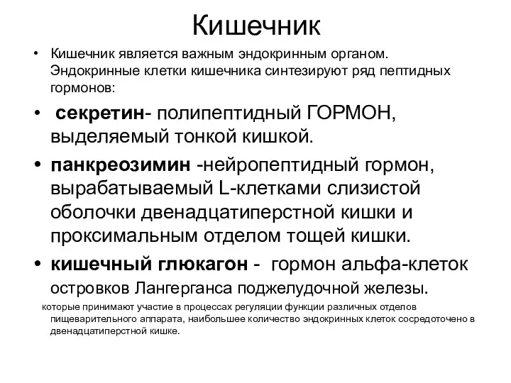 Кишечник Кишечник является важным эндокринным органом. Эндокринные клетки кишечника синтезируют ряд пептидных гормонов: