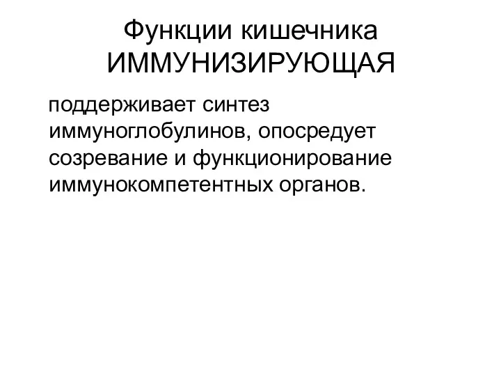 Функции кишечника ИММУНИЗИРУЮЩАЯ поддерживает синтез иммуноглобулинов, опосредует созревание и функционирование иммунокомпетентных органов.