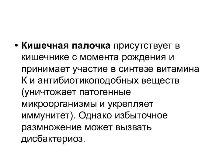 Кишечная палочка присутствует в кишечнике с момента рождения и принимает участие в синтезе