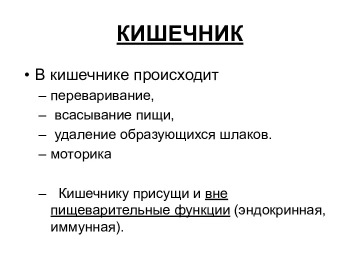 КИШЕЧНИК В кишечнике происходит переваривание, всасывание пищи, удаление образующихся шлаков. моторика Кишечнику присущи