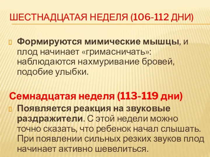 ШЕСТНАДЦАТАЯ НЕДЕЛЯ (106-112 ДНИ) Формируются мимические мышцы, и плод начинает