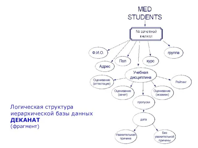 Логическая структура иерархической базы данных ДЕКАНАТ (фрагмент)