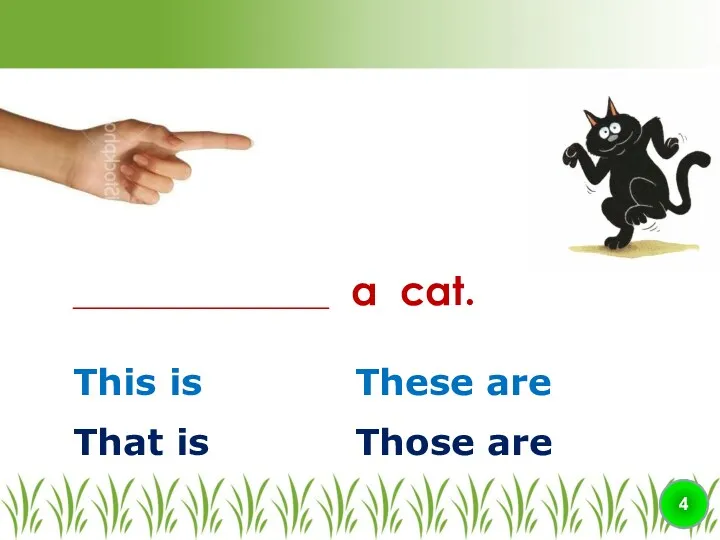 This is These are ________________ a cat. 4 That is Those are