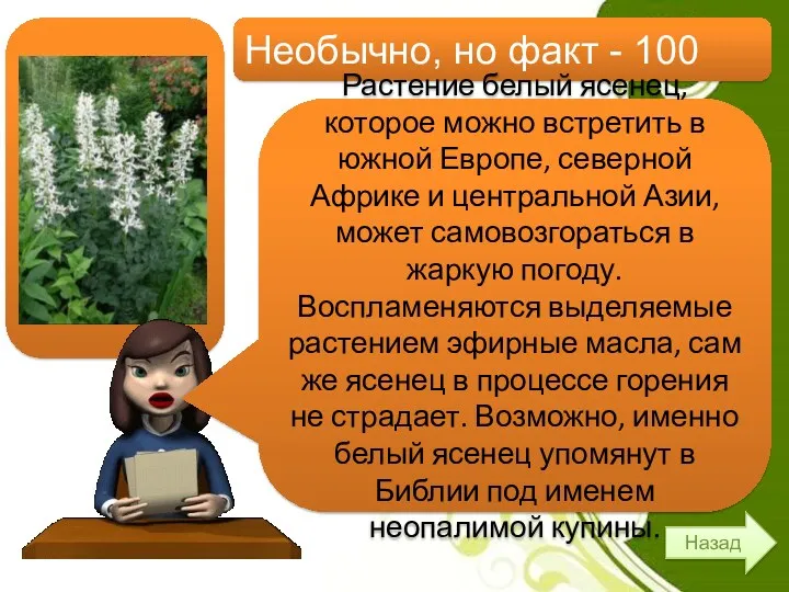 Необычно, но факт - 100 Назад Растение белый ясенец, которое можно встретить в