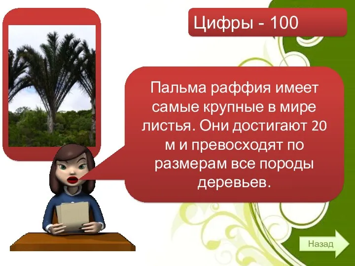 Цифры - 100 Назад Пальма раффия имеет самые крупные в мире листья. Они