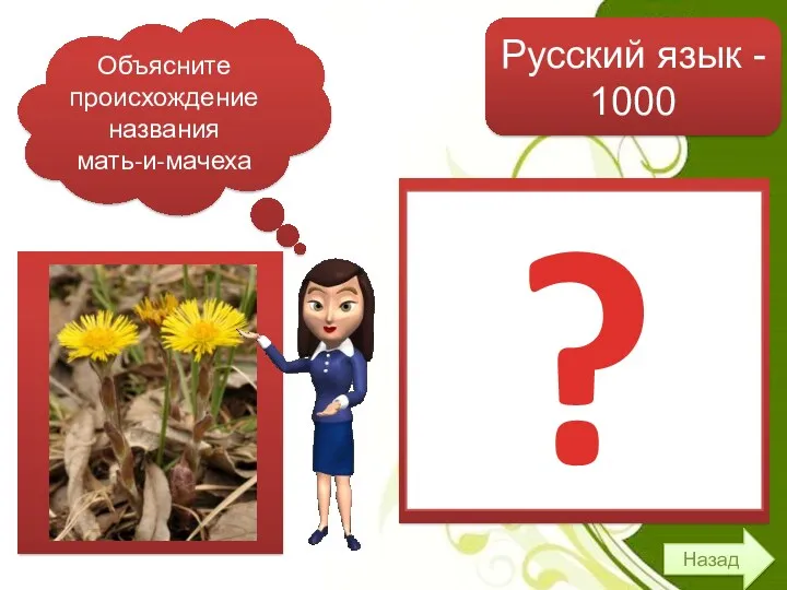 Назад Русский язык - 1000 Объясните происхождение названия мать-и-мачеха Принято было считать: "Родная
